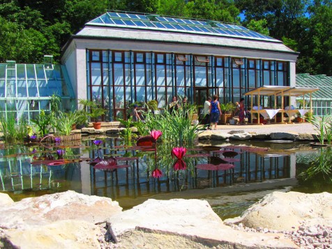 Helikon Pálmaház és Madárpark